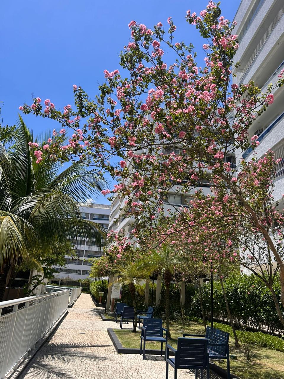 Paisagismo condominial com árvore florida
